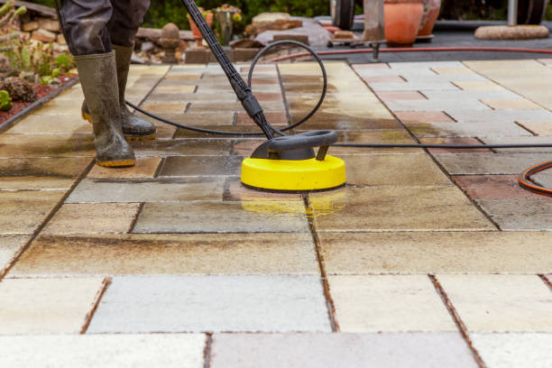 Best Sidewalk and Walkway Cleaning  in Chapel Hill, TN